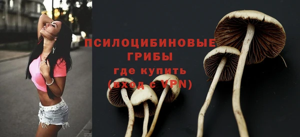 экстази Алексеевка
